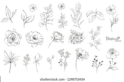 Set of floral branch. Flower rose,  leaves. Wedding concept. Collection flowers for invite. Vector arrangements for greeting card or invitation design