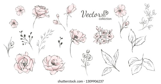 Set of floral branch. Flower rose,  leaves. Wedding concept. Collection flowers for invite. Vector arrangements for greeting card or invitation design