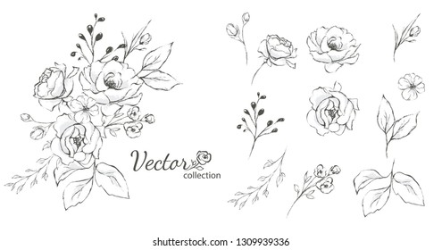 Set of floral branch. Flower rose,  leaves. Wedding concept with flowers. Floral poster, invite. Vector arrangements for greeting card or invitation design