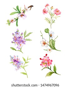 Set of floral branch, green leaves. Floral poster, invite. design background