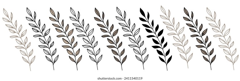 Set of floral branch with leaves. Vector hand drawn line illustration, minimalist leaves for logo or tattoo, print, cover or wallpaper. silhouette wedding herb, elegant nature motive.