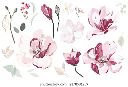 Set of floral branch - Magnolia. Flower  and leaves. Botanical 