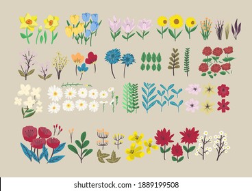 Set of floral branch. Variety of flower in Vector. Floral poster. Flower element for designer.