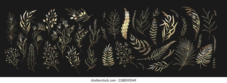 Set of floral branches and leaves. Botanical blooming. Vector ornamental herbs for logo or tattoo. Hand drawn line wedding herb, elegant wildflowers. Wedding design