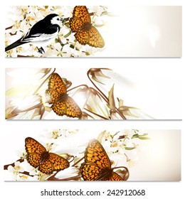 Set of floral brochures with field flowers for design