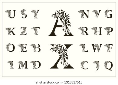 Set of Floral Capital Letters. Vintage Logos. Filigree Monograms. Beautiful Collection. English Alphabet. Simple Drawn Emblems. Graceful Style. Design of Calligraphic Insignia. Vector Illustration