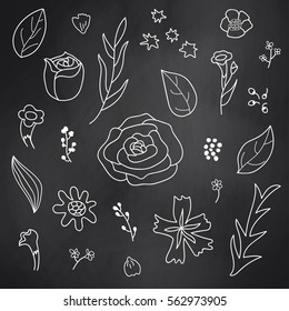 Set of floral chalkboard doodle drawings. Vector illustration.