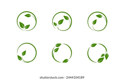 Set of floral circle frames for design element