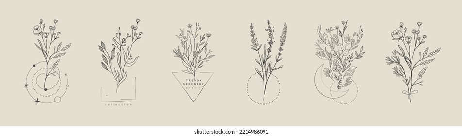 Set of floral compositions. Botanical arrangement of leaves branches and blooming flowers. Vector ornamental herbs in boutonniere and bouquet. Wedding design