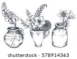 Set of floral compositions. Bouquets with hand drawn flowers and plants in vases and jars. Monochrome vector illustrations in sketch style
