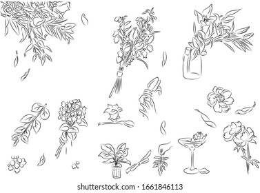 Set of Floral compositions. Bouquets with hand drawn flowers and plants. Monochrome vector illustrations in sketch style