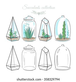 set of floral compositions with cactus and succulents in decorative glass containers