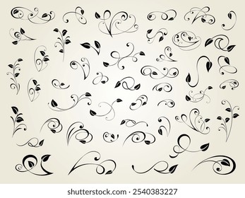 Conjunto de design decorativo floral isolado, editável. Da maior e melhor coleção.