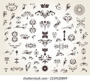 Set of floral decorative elements for design isolated, editable. 