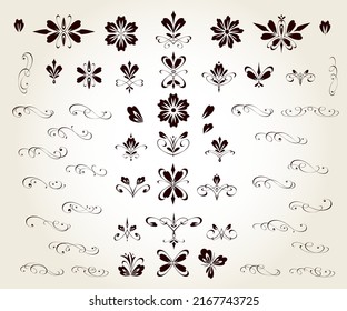 Set of floral decorative elements for design isolated, editable. 