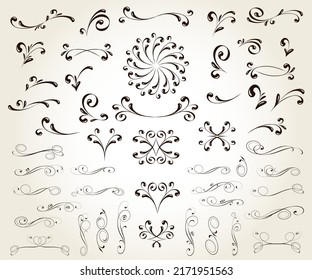 Set of floral decorative elements for design isolated, editable. 