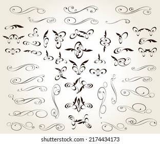 Set of floral decorative elements for design isolated, editable. 