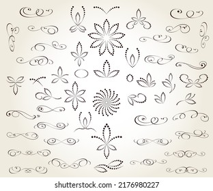 Set von floralen Dekorationselementen für Design einzeln, editierbar. 