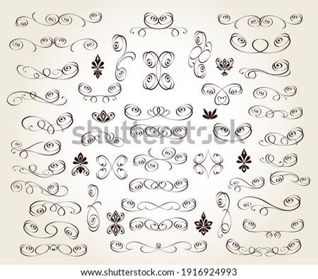 Set of floral decorative elements for design isolated, editable. Vignettes, ornate, dividers.