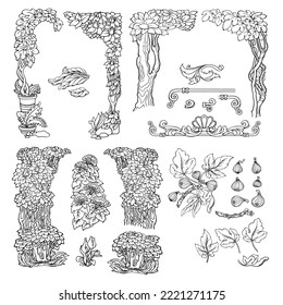 Set of floral decorative elements. Hand drawn exotic plants. Vector.