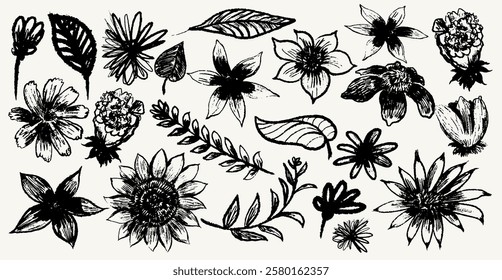 Set of floral design element nature. Meadow plants, leaves, leaf and flowers. Collection of botanical collage in modern flat style. Floral black silhouettes. Floral vector drawings, print, pattern.