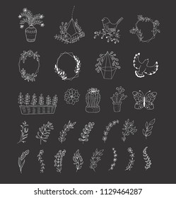 Set of floral design elements , bids, butterfly and frames.