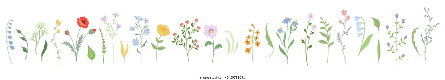 Conjunto de Elementos de diseño florales. Flores y hojas silvestres delicadas, plantas frágiles suaves, ramas delgadas, hierbas de prado. Ilustración vectorial natural botánica