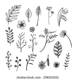 Set of floral design elements/ Doodle elements/ Hand drawn monochrome vector illustration