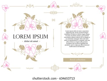 Set of floral design elements. Fine original decorative branches with flowers. Exotic tropical design with orchids flowers. Border separator.