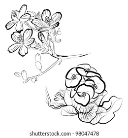Set of floral design elements -  flowers