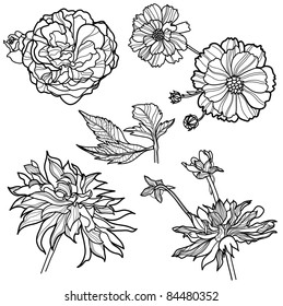 Set of floral design elements (from my big "Flower-set collection")