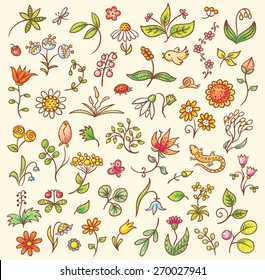 Set of floral design elements, herbs and flowers, hand drawn, no gradients
