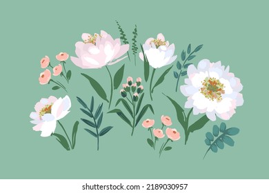 Set of floral design elements. Leaves, flowers, grass, branches Vector illustration