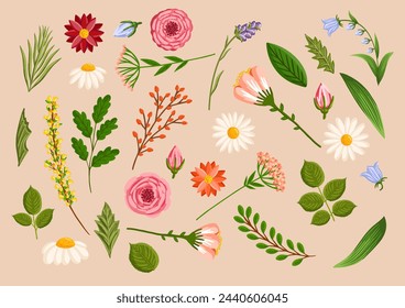 Set of floral design elements. Leaves, flowers, branches, grass, and buds. Botanical vector illustration isolated on white background.