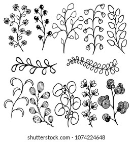 set of floral design elements, lives, branches and flowers, hand drawing style, vector illustration, outline on white