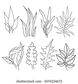 set of floral design elements, lives, branches and flowers, hand drawing style, vector illustration, outline on white