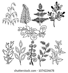 set of floral design elements, lives, branches and flowers, hand drawing style, vector illustration, outline on white