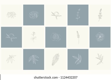 Set of floral design elements: plants, branches, leaves, rose, peony. Line hand drawn elements for logo, emblem, decoration.