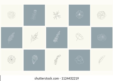 Conjunto de elementos de diseño floral: plantas, ramas, hojas, rosa, peonía. Elementos dibujados a mano para el logotipo, el emblema, la decoración.