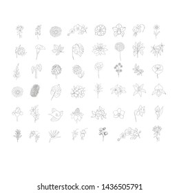 Set of floral design elements: plants, branches, leaves. Line hand drawn elements for logo, emblem, decoration.