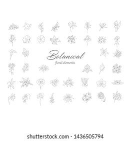 Set of floral design elements: plants, branches, leaves. Line hand drawn elements for logo, emblem, decoration.