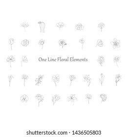 Set of floral design elements: plants, branches, leaves. Line hand drawn elements for logo, emblem, decoration.