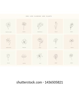 Conjunto de elementos de diseño floral: plantas, ramas, hojas. Elementos dibujados a mano para el logotipo, el emblema, la decoración.