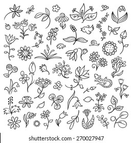 Set of floral design elements in a sketchy doodle style, black and white