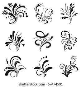 Set of floral design elements. Vector illustration