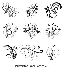 Set of floral design elements. Vector illustration