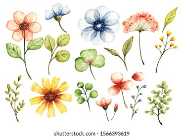 Set of Floral Design Elements in Water color Style Illustration