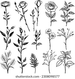 Conjunto de doodles florales. Doodle de flores, hoja y garganta. Afiche floral, invitación floral. Disposiciones de vectores para el diseño de tarjetas de felicitación o invitaciones