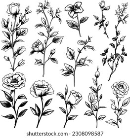 Set of floral doodle. Flower doodle, leaf and twig doodle. Floral poster, invitation floral. Vector arrangements for greeting card or invitation design