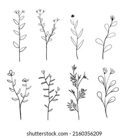 Set of floral element decoration flower leaf and branches hand drawn style.